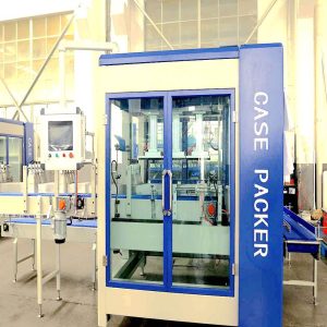 Beverage carton box packing machine delivered to Kyrgyzstan factory